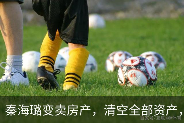 秦海璐变卖房产，清空全部资产，凑出近亿身家，绝境兜底救下刘涛